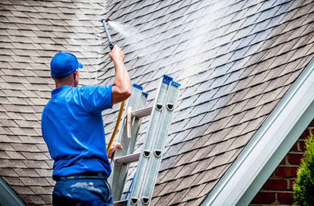 union city roof cleaning